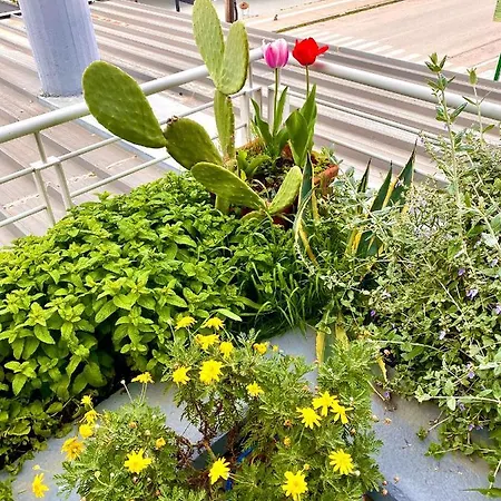 アパート Downtown カメナブルナ